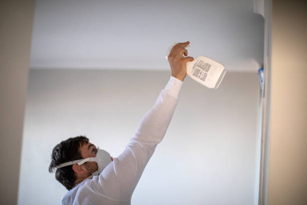 Best Toxic Mold Removal  in Albany, MO