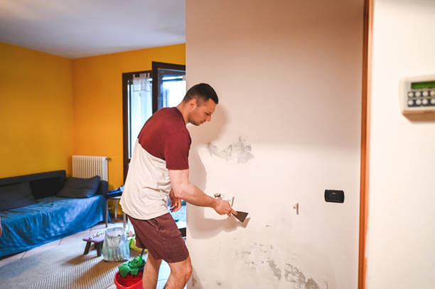Best Certified Mold Removal  in Albany, MO